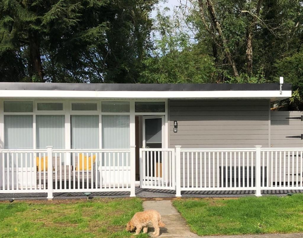 Woodlands Luxury Escape - Lodge 81 New Quay  Exterior photo